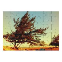 yanfind Picture Puzzle Atlântica Images Barra  Flora Landscape Sky Plant Car Da Tree Grussaí Family Game Intellectual Educational Game Jigsaw Puzzle Toy Set