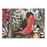yanfind Picture Puzzle Bird Retro Old Fashioned Archival Flower Century Lithograph Wildflower Victorian Wildlife Meadow Family Game Intellectual Educational Game Jigsaw Puzzle Toy Set