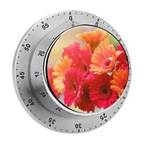 yanfind Timer Bruno Glätsch Flowers Gerbera Daisy  Spring Bokeh Blurred Sunshine Colorful Floral 60 Minutes Mechanical Visual Timer