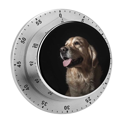 yanfind Timer Lovely Golden Images Photo Pet Spain Hound Tongue Session  Free Dark 60 Minutes Mechanical Visual Timer