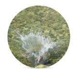 yanfind Ceramic Coasters (round)  River  Plonk Ripple Ripples Resources Leaf Botany Grass Watercourse Sunlight Family Game Intellectual Educational Game Jigsaw Puzzle Toy Set