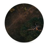 yanfind Ceramic Coasters (round) Top Unique Images Bush Land  Landscape  Wallpapers Plant Outdoors Tree Family Game Intellectual Educational Game Jigsaw Puzzle Toy Set