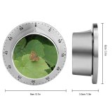yanfind Timer  Leaf Grapes Grape Wine Leaves Butterfly Cynthia (subgenus) Comma Insect Moths 60 Minutes Mechanical Visual Timer