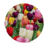 yanfind Ceramic Coasters (round) Flowers Tulip Flowers Multicolor Colorful Tulips Field Purple Beautiful Flower Garden Family Game Intellectual Educational Game Jigsaw Puzzle Toy Set