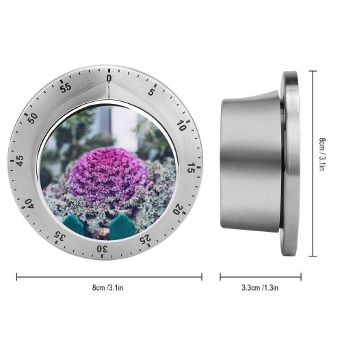 yanfind Timer Images Floral Flush Magenta Wallpapers Plant Beauty Cabbage  Kale Free Natural 60 Minutes Mechanical Visual Timer