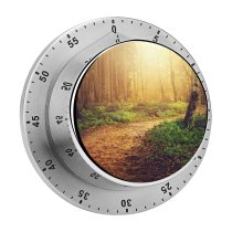 yanfind Timer Dorothe Forest Path Sunlight Trees Woods Autumn 60 Minutes Mechanical Visual Timer