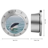yanfind Timer  Images  Ocean  Sea Wallpapers Wildlife  Harbor Travel Stock 60 Minutes Mechanical Visual Timer