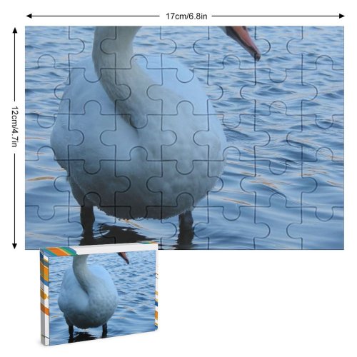 yanfind Picture Puzzle  Lake Bird Vertebrate Beak Ducks Geese Swans Waterfowl Neck Duck Family Game Intellectual Educational Game Jigsaw Puzzle Toy Set