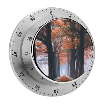 yanfind Timer Autumn Trees Path Foggy Morning Foliage Fallen Leaves 60 Minutes Mechanical Visual Timer