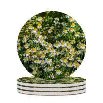 yanfind Ceramic Coasters (round) Москва Images Chamomile Ogorod Огород» Сад Flowers Aster Ботанический Plant Asteraceae Garden Family Game Intellectual Educational Game Jigsaw Puzzle Toy Set