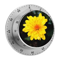 yanfind Timer Plants Images Wallpapers Plant Asteraceae  Flower Daisy Pollen Petal Daisies Free 60 Minutes Mechanical Visual Timer
