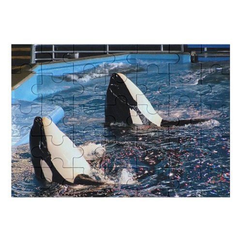 yanfind Picture Puzzle Whales Mammals Seaworld Oceans Shows Pool Educational Killer Whale Marine Cetacea Family Game Intellectual Educational Game Jigsaw Puzzle Toy Set