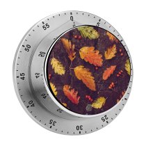 yanfind Timer Autumn Leaves Foliage Ground Fallen Leaf 60 Minutes Mechanical Visual Timer
