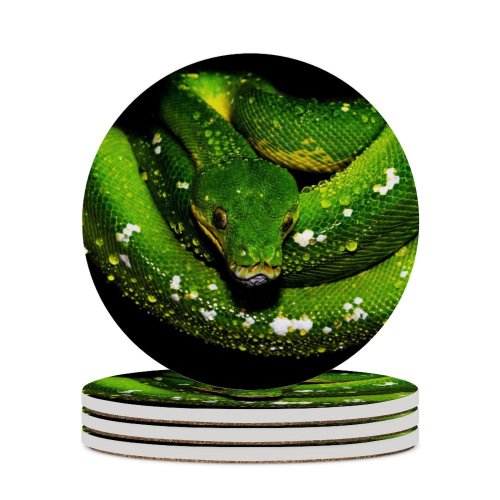 yanfind Ceramic Coasters (round) Black Dark Tree  Snake  Drops Dark Family Game Intellectual Educational Game Jigsaw Puzzle Toy Set
