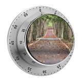 yanfind Timer Fall Trees Road Tarmac Woods Foliage 60 Minutes Mechanical Visual Timer