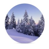 yanfind Ceramic Coasters (round) Winter Snow Pine Trees Evening Switzerland December Family Game Intellectual Educational Game Jigsaw Puzzle Toy Set