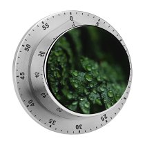 yanfind Timer Leaves  Drops Dark Plant Droplets 60 Minutes Mechanical Visual Timer