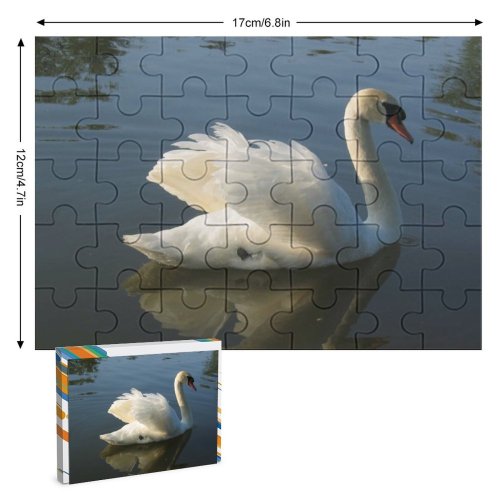 yanfind Picture Puzzle  Lake Quiet Bird Vertebrate Ducks Geese Swans Beak Waterfowl Reflection Family Game Intellectual Educational Game Jigsaw Puzzle Toy Set