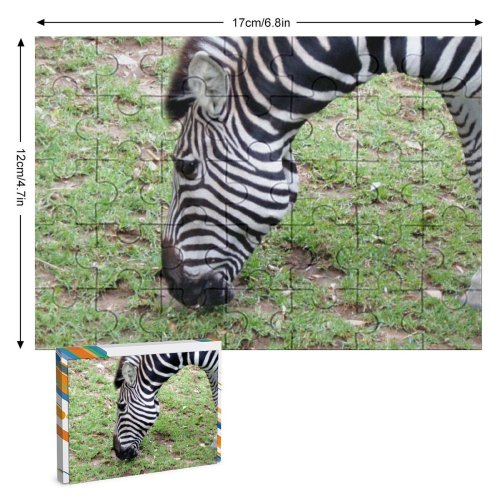 yanfind Picture Puzzle Zebra Terrestrial Wildlife Grass Grazing Grassland Snout Plant Pasture Family Game Intellectual Educational Game Jigsaw Puzzle Toy Set