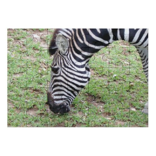 yanfind Picture Puzzle Zebra Terrestrial Wildlife Grass Grazing Grassland Snout Plant Pasture Family Game Intellectual Educational Game Jigsaw Puzzle Toy Set