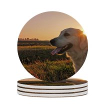 yanfind Ceramic Coasters (round) Golden Images Pet  Veneto Fun Public Grass Sky Wallpapers Outdoors Sunlight Family Game Intellectual Educational Game Jigsaw Puzzle Toy Set