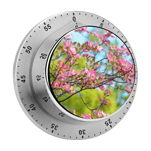yanfind Timer Flowers Flowers Spring Bokeh Beautiful Bloom 60 Minutes Mechanical Visual Timer