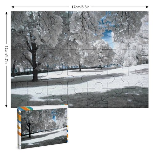 yanfind Picture Puzzle Images Kassel Flora Frost Landscape Public Grass Wallpapers Plant Outdoors Tree Forest Family Game Intellectual Educational Game Jigsaw Puzzle Toy Set