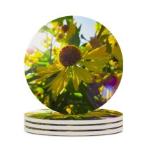 yanfind Ceramic Coasters (round) Images Photo  Spring  Sunshine Plant Pollen Free Summer Sunlight Pictures Family Game Intellectual Educational Game Jigsaw Puzzle Toy Set