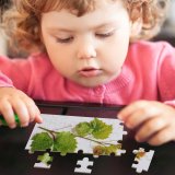 yanfind Picture Puzzle Grape Leaf  Plant Twig Agriculture Beauty  Botany Branch Bud Comunidad Family Game Intellectual Educational Game Jigsaw Puzzle Toy Set