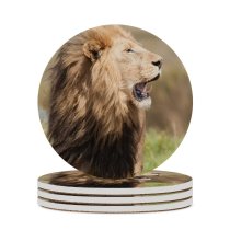 yanfind Ceramic Coasters (round) Images Kruger Southafrica Africa Wildlife Safari Fauna Free Simba Pictures Mane Bigfive Family Game Intellectual Educational Game Jigsaw Puzzle Toy Set