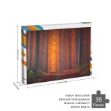 yanfind Picture Puzzle Hmetosche Autumn Forest Pathway Fallen Leaves Sunset Landscape Trees Woods Family Game Intellectual Educational Game Jigsaw Puzzle Toy Set
