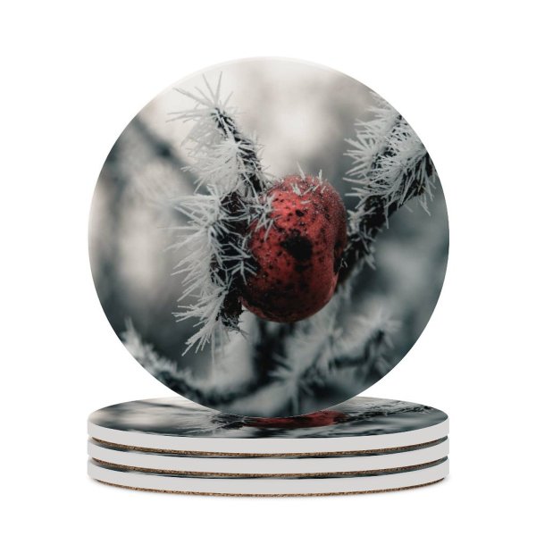yanfind Ceramic Coasters (round) Images Saarland Insect Frost Public Snow Wallpapers Outdoors Winter Invertebrate  Frozen Family Game Intellectual Educational Game Jigsaw Puzzle Toy Set