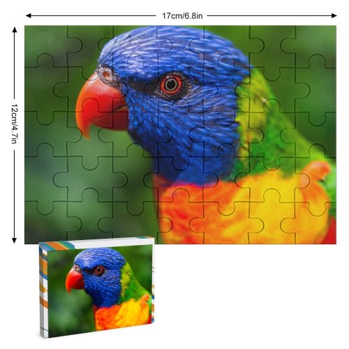 yanfind Picture Puzzle Parrot Colorful Bird Multicolor Closeup 5K Family Game Intellectual Educational Game Jigsaw Puzzle Toy Set
