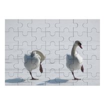 yanfind Picture Puzzle   Lake Frozen Winter Birds Snow Bird Beak Ducks Geese Swans Family Game Intellectual Educational Game Jigsaw Puzzle Toy Set