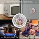 yanfind Timer Třebíč Images Give Czechia Spring Flora Flowers Wallpapers Closeup Plant Bloom 60 Minutes Mechanical Visual Timer