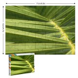 yanfind Picture Puzzle Leaf Terrestrial Plant Vegetation Arecales Saw Palmetto Tree Flower Family Game Intellectual Educational Game Jigsaw Puzzle Toy Set