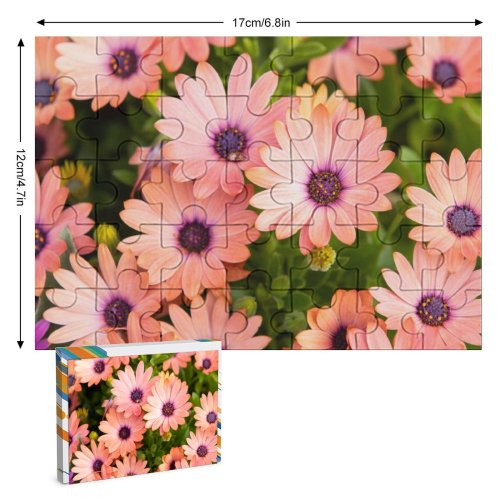 yanfind Picture Puzzle Daisies Floral  Bloom Spring Closeup Beautiful 5K Family Game Intellectual Educational Game Jigsaw Puzzle Toy Set