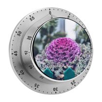 yanfind Timer Images Floral Flush Magenta Wallpapers Plant Beauty Cabbage  Kale Free Natural 60 Minutes Mechanical Visual Timer