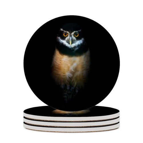yanfind Ceramic Coasters (round) William Warby Black Dark  Night Wildlife Family Game Intellectual Educational Game Jigsaw Puzzle Toy Set
