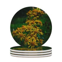 yanfind Ceramic Coasters (round) Images Fall Autumn Petal Wallpapers Plant Asteraceae Outdoors Pollen Free Pictures Daisy Family Game Intellectual Educational Game Jigsaw Puzzle Toy Set