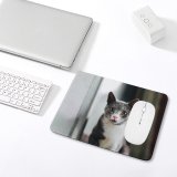 yanfind The Mouse Pad Blur Focus Whiskers Cats Cat Depth Face Field Pet Cat's Fur Furry Pattern Design Stitched Edges Suitable for home office game