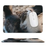 yanfind The Mouse Pad Funny Curiosity Sit Cute Little Young Eye Family Kitten Pet Whisker Downy Pattern Design Stitched Edges Suitable for home office game