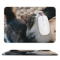yanfind The Mouse Pad Funny Curiosity Sit Cute Little Young Eye Family Kitten Pet Whisker Downy Pattern Design Stitched Edges Suitable for home office game