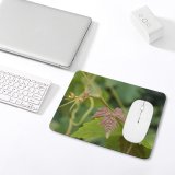 yanfind The Mouse Pad Vine Leaf Grape Grapes Leaves Wine Flower Plant Flowering Botany Nettle Family Pattern Design Stitched Edges Suitable for home office game