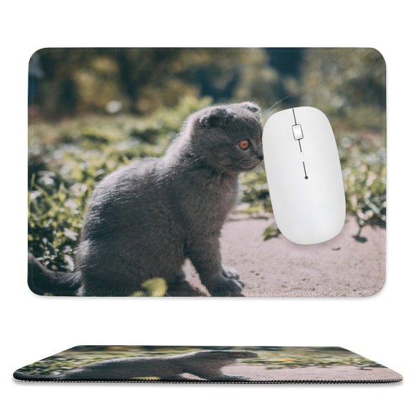 yanfind The Mouse Pad Pet Outdoors Felidae Tabby Whiskers Outside Field Cute Focus Blur Adorable Furry Pattern Design Stitched Edges Suitable for home office game