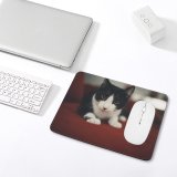 yanfind The Mouse Pad Funny Curiosity Sit Cute Cat Young Blur Eye Baby Little Portrait Pet Pattern Design Stitched Edges Suitable for home office game