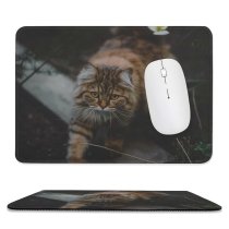 yanfind The Mouse Pad Blur Focus Whiskers Cat Pet Fur Outdoors Furry Adorable Cute Kitty Eyes Pattern Design Stitched Edges Suitable for home office game