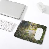 yanfind The Mouse Pad Free Land Pictures Vegetation Outdoors Jungle Plant Rainforest Tree Images Fern Pattern Design Stitched Edges Suitable for home office game