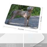 yanfind The Mouse Pad Dog Pet Wallpapers Pictures Pointer Hound Grey Creative Images Commons Pattern Design Stitched Edges Suitable for home office game