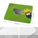 yanfind The Mouse Pad Blur Focus Butterfly Delicate Insect Wings Depth Field Lepidoptera Macro Wildlife Pollen Pattern Design Stitched Edges Suitable for home office game